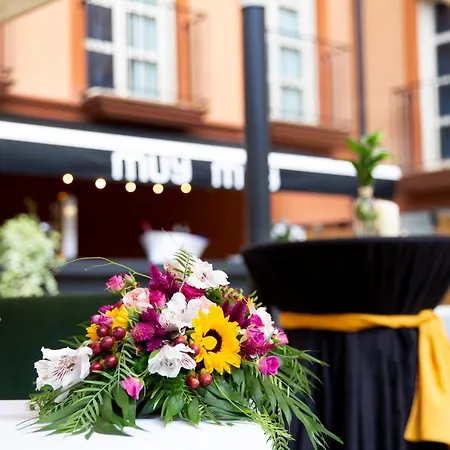 Rice Palacio De Blasones Burgos