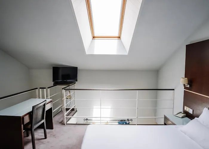 호텔 Rice Palacio De Blasones 4*