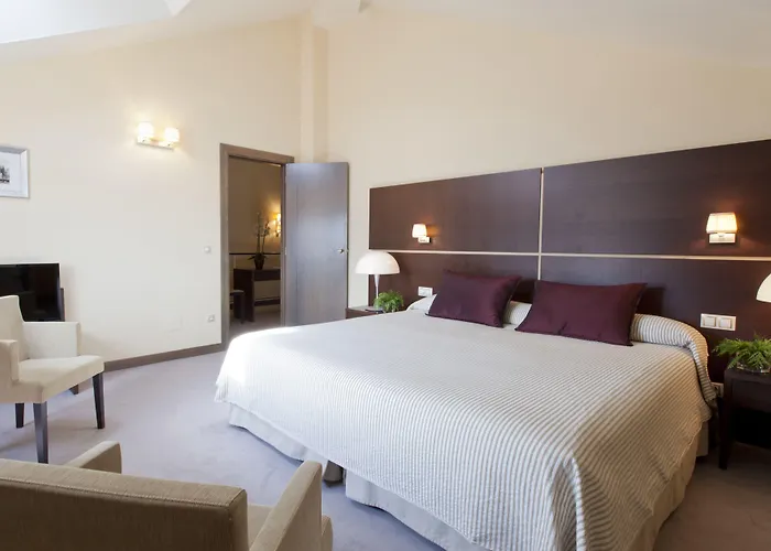 Rice Palacio De Blasones