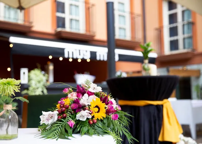 Rice Palacio De Blasones Burgo